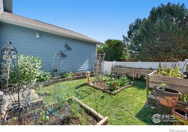 742 Lavastone Ave, Loveland, CO 80537 - photo 18