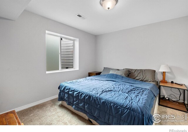742 Lavastone Ave, Loveland, CO 80537 - photo 22