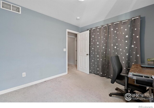 742 Lavastone Ave, Loveland, CO 80537 - photo 25