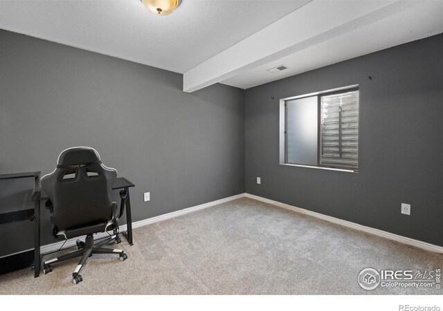 742 Lavastone Ave, Loveland, CO 80537 - photo 26