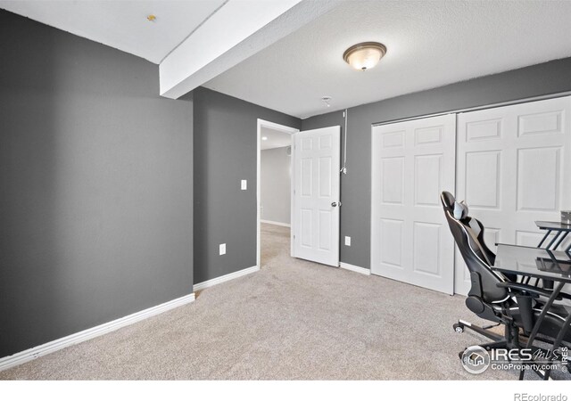 742 Lavastone Ave, Loveland, CO 80537 - photo 27