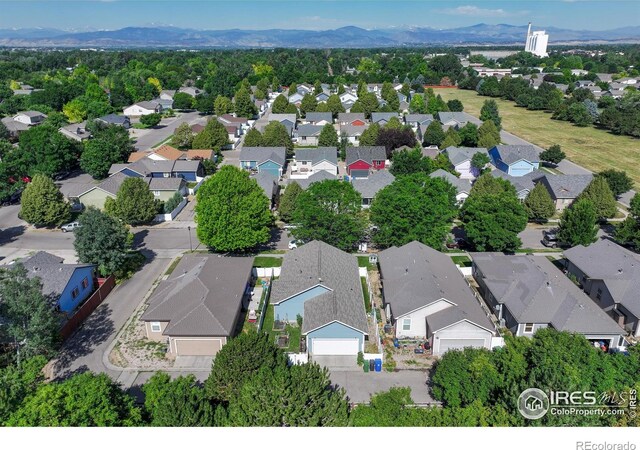 742 Lavastone Ave, Loveland, CO 80537 - photo 38