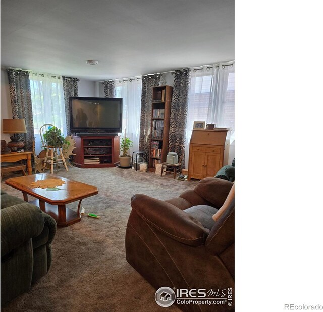 411 W Gordon St, Holyoke, CO 80734 - photo 14