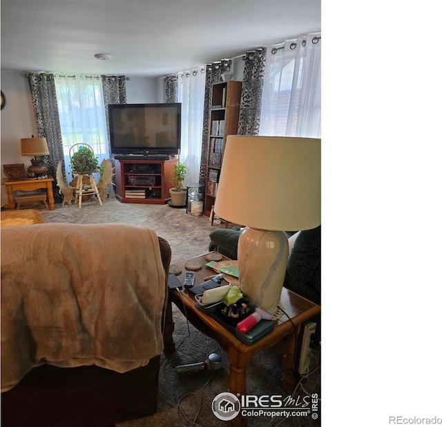 411 W Gordon St, Holyoke, CO 80734 - photo 15
