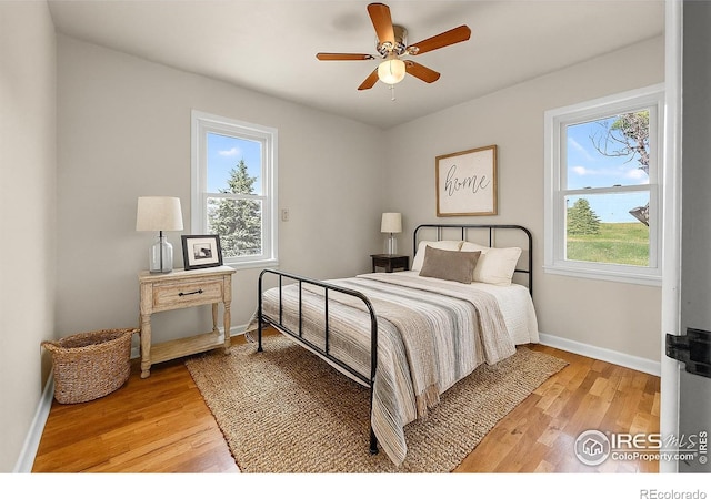 375 S Cedar Ave, Akron, CO 80720 - photo 20