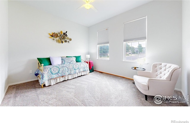 555 S 17th Ave, Brighton, CO 80601 - carpeted bedroom featuring baseboards and ceiling fan