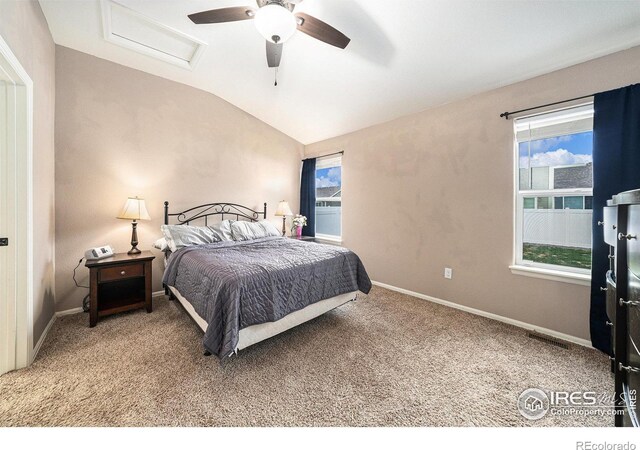 958 Greenbrook Dr, Windsor, CO 80550 - photo 11