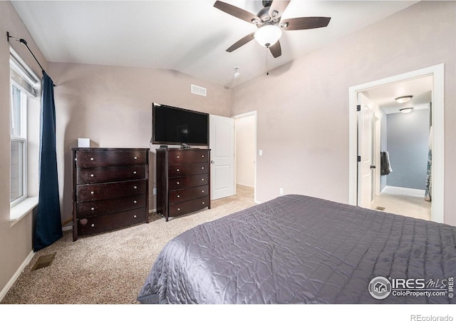 958 Greenbrook Dr, Windsor, CO 80550 - photo 17