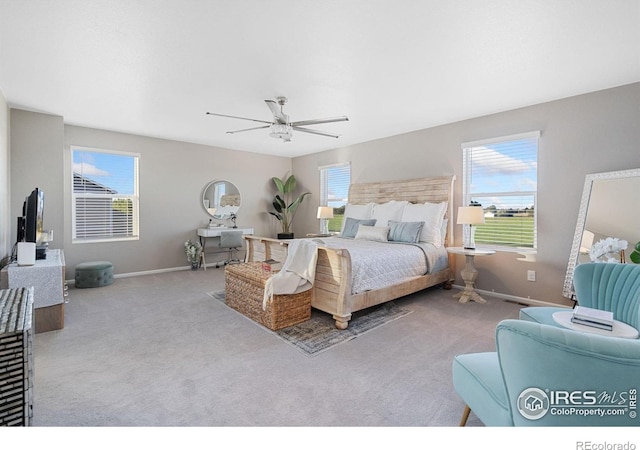 6282 Yellowtail St, Timnath, CO 80547 - photo 19