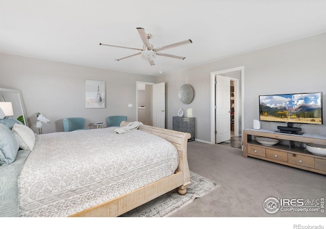 6282 Yellowtail St, Timnath, CO 80547 - photo 20