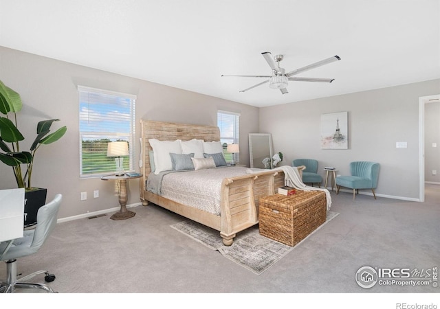 6282 Yellowtail St, Timnath, CO 80547 - photo 21