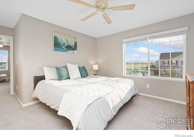 6282 Yellowtail St, Timnath, CO 80547 - photo 24