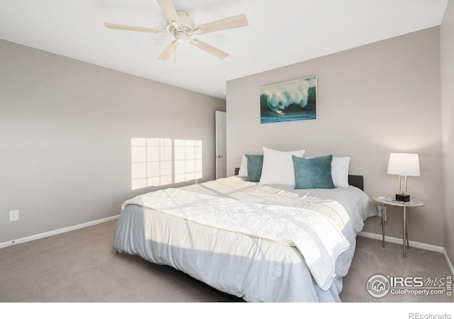 6282 Yellowtail St, Timnath, CO 80547 - photo 25