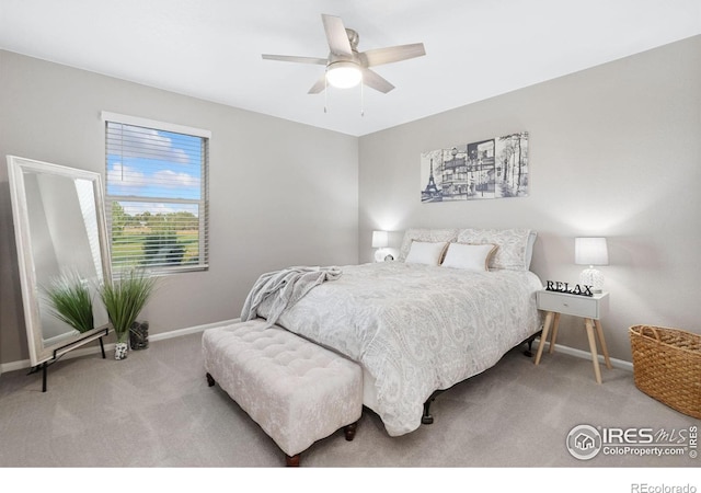 6282 Yellowtail St, Timnath, CO 80547 - photo 27