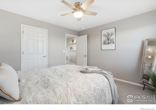6282 Yellowtail St, Timnath, CO 80547 - photo 28