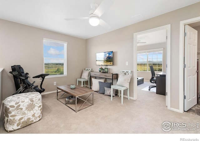 6282 Yellowtail St, Timnath, CO 80547 - photo 31