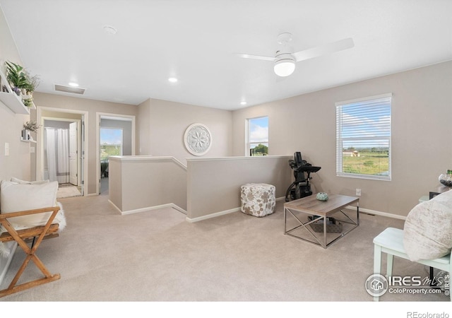 6282 Yellowtail St, Timnath, CO 80547 - photo 32