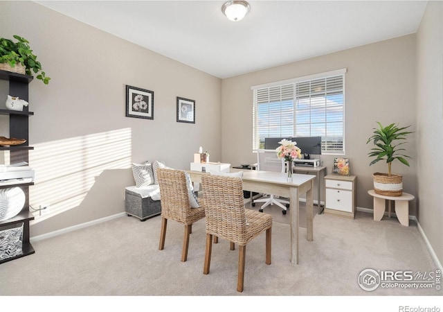 6282 Yellowtail St, Timnath, CO 80547 - photo 34