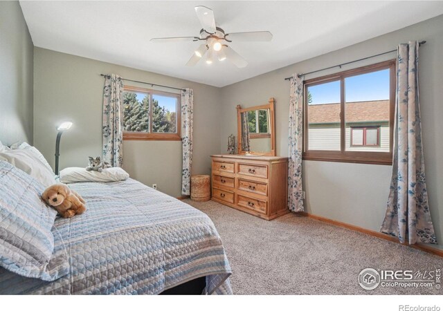 624 Munson Ct, Berthoud, CO 80513 - photo 13