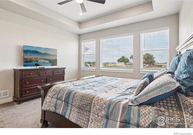 5010 Prairie Lark Ln, Severance, CO 80615 - photo 15