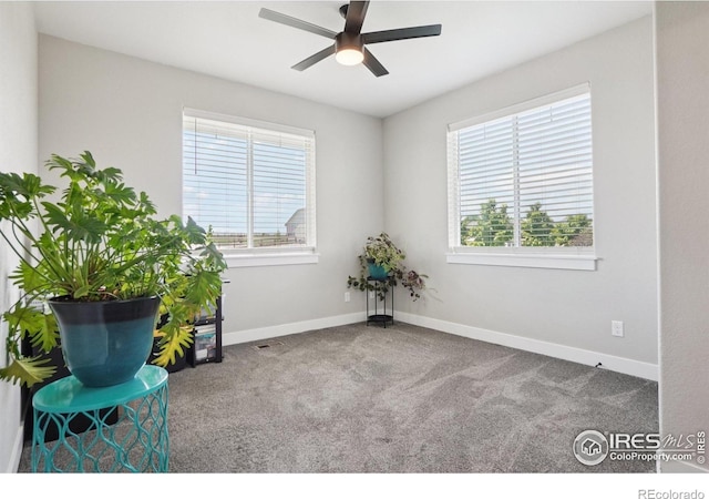 5010 Prairie Lark Ln, Severance, CO 80615 - photo 19