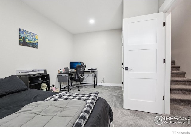 5010 Prairie Lark Ln, Severance, CO 80615 - photo 24