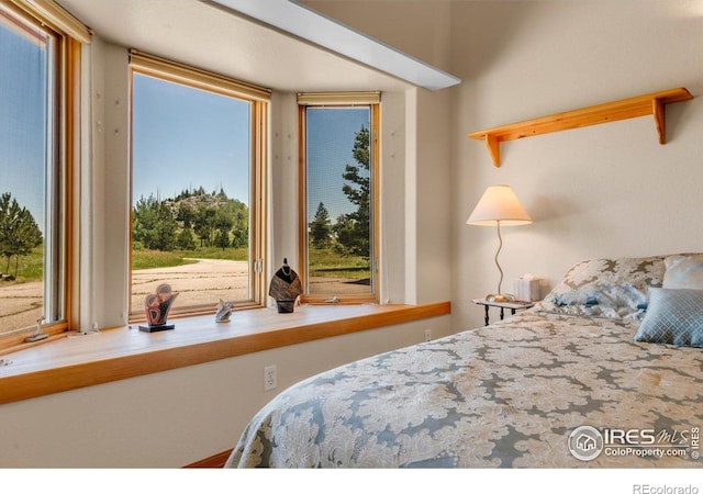 1293 Lost Angel Rd, Boulder, CO 80302 - photo 20