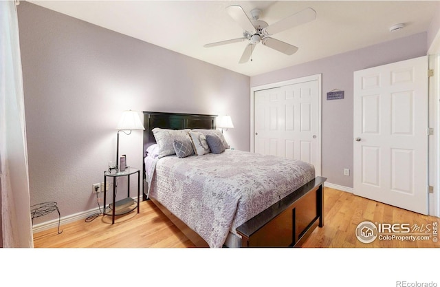 7294 Tamarisk Dr, Fort Collins, CO 80528 - bedroom with light wood finished floors, a closet, and ceiling fan