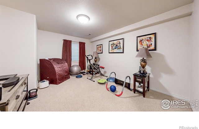 7294 Tamarisk Dr, Fort Collins, CO 80528 - workout room with carpet flooring and baseboards