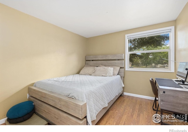 144 Placer Ave, Longmont, CO 80504 - bedroom with wood finished floors and baseboards