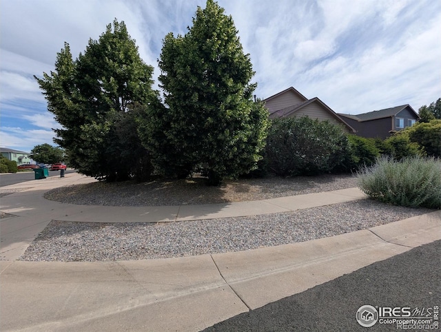 3705 Dove Ln, Evans, CO 80620 - view of yard