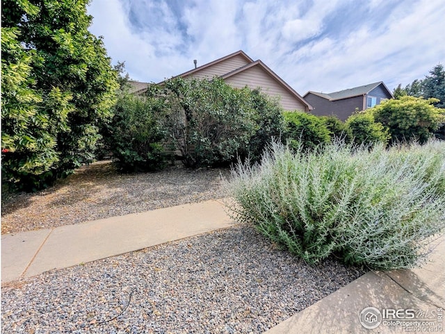 3705 Dove Ln, Evans, CO 80620 - view of yard