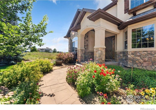 8276 Blackwood Dr, Windsor, CO 80550 - view of patio / terrace