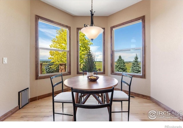 8276 Blackwood Dr, Windsor, CO 80550 - dining room featuring light wood-type flooring and healthy amount of natural light