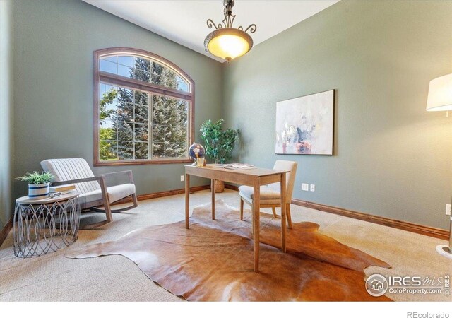 8276 Blackwood Dr, Windsor, CO 80550 - carpeted office space with baseboards