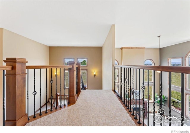 8276 Blackwood Dr, Windsor, CO 80550 - view of corridor