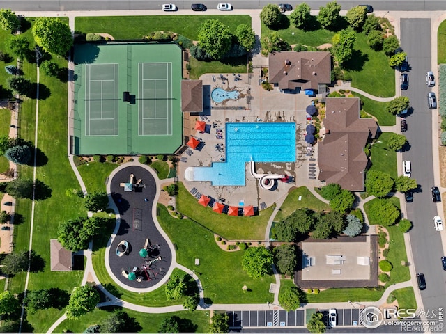 8276 Blackwood Dr, Windsor, CO 80550 - bird's eye view of a pool area