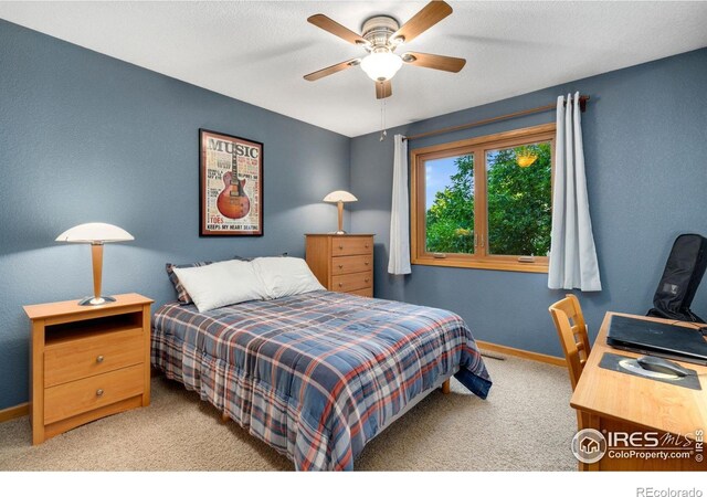 2824 Zendt Dr, Fort Collins, CO 80526