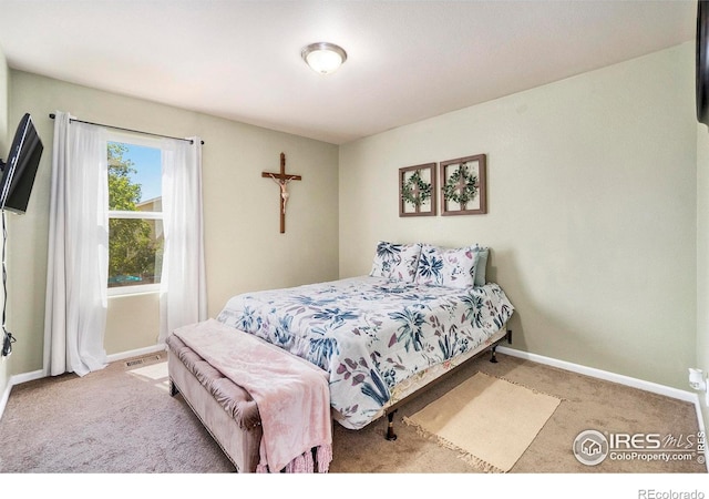 109 23rd Avenue Ct, Greeley, CO 80631 - photo 14