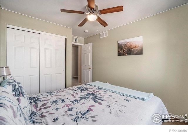 109 23rd Avenue Ct, Greeley, CO 80631 - photo 19