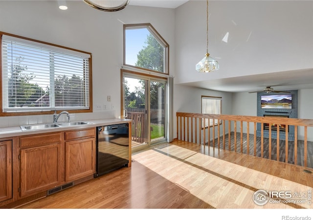 2325 Steele St, Longmont, CO 80501