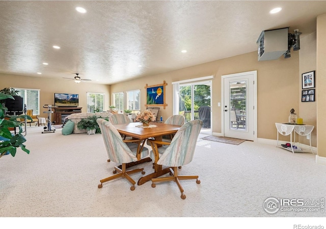 975 Norway Maple Dr, Loveland, CO 80538 - photo 10