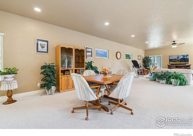975 Norway Maple Dr, Loveland, CO 80538 - photo 11