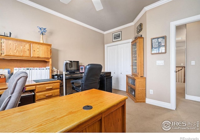 975 Norway Maple Dr, Loveland, CO 80538 - photo 18
