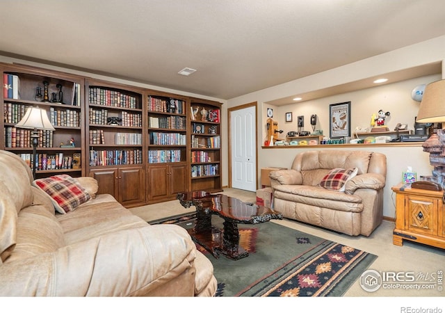 975 Norway Maple Dr, Loveland, CO 80538 - photo 30