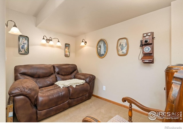 975 Norway Maple Dr, Loveland, CO 80538 - photo 33