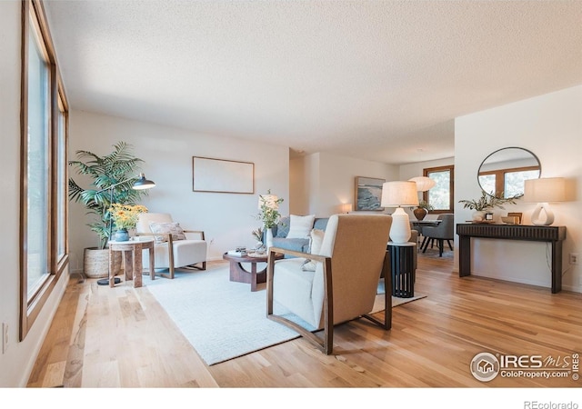 807 Winchester Dr, Fort Collins, CO 80526 - photo 5