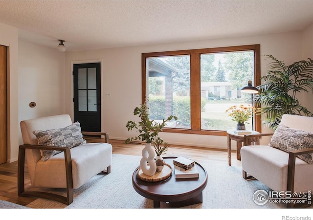 807 Winchester Dr, Fort Collins, CO 80526 - photo 7