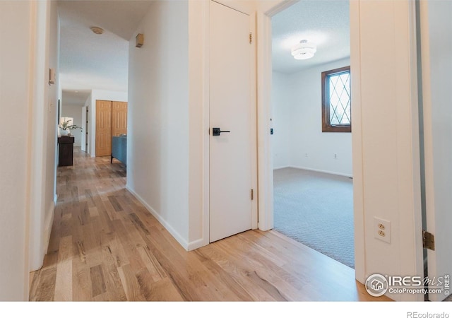 807 Winchester Dr, Fort Collins, CO 80526 - photo 15