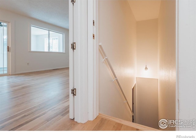 807 Winchester Dr, Fort Collins, CO 80526 - photo 23